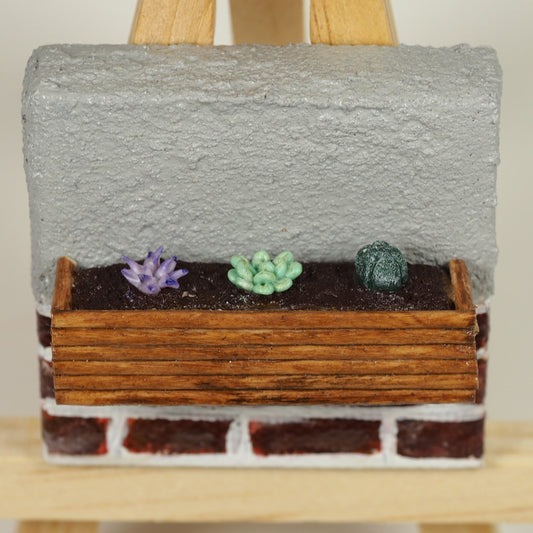 Mini Canvas - succulent garden