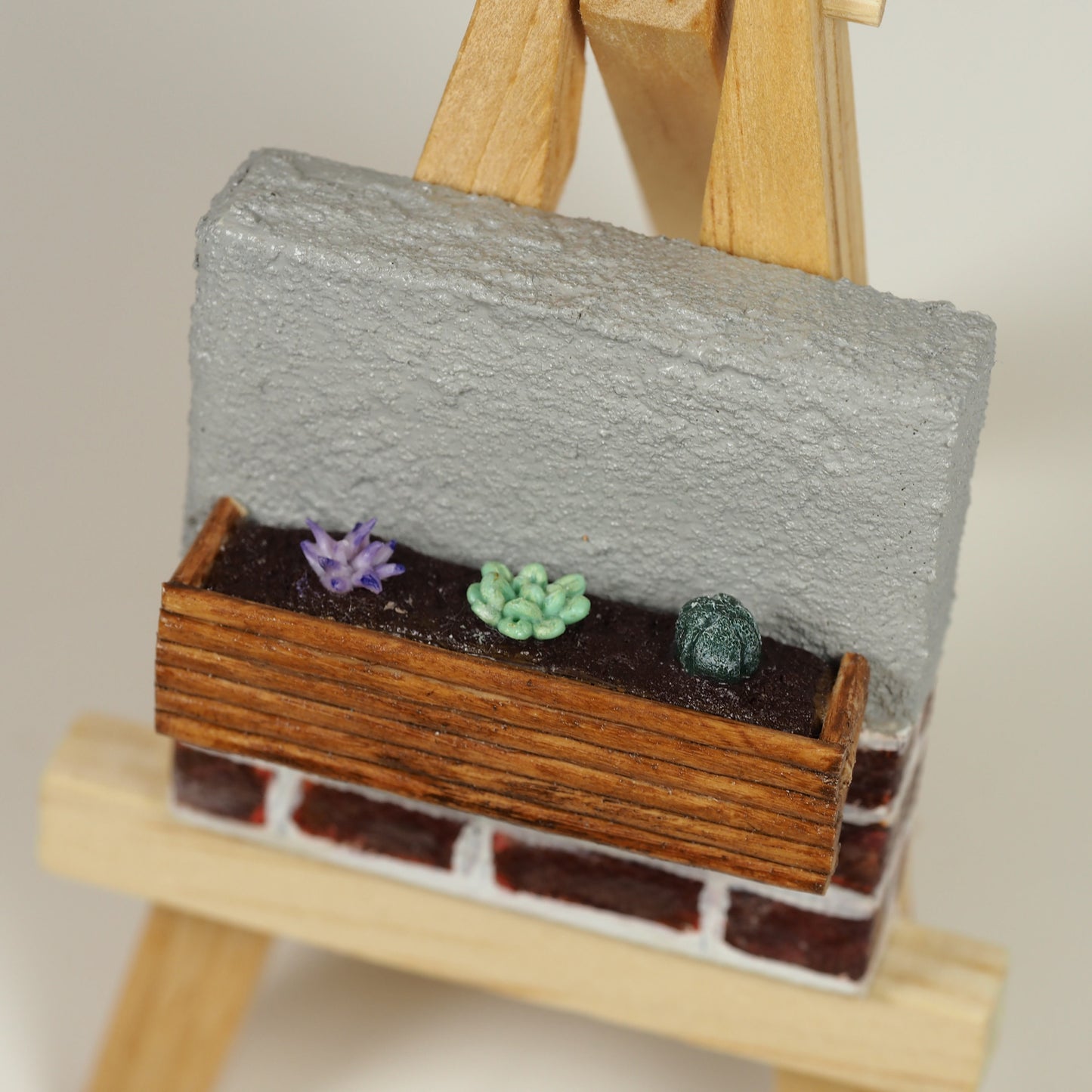 Mini Canvas - succulent garden